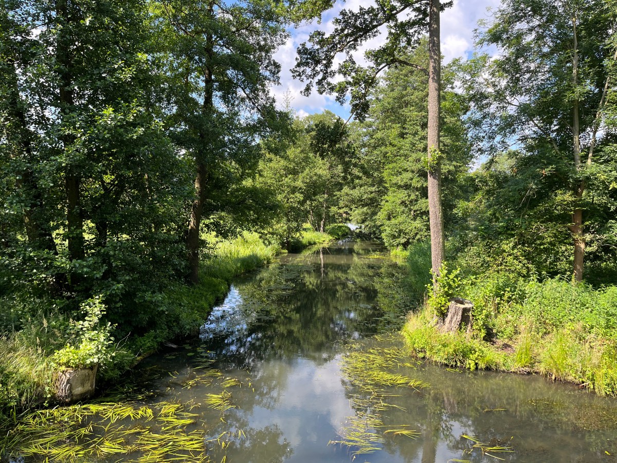 109) Postkarte vom&nbsp;Spreewald