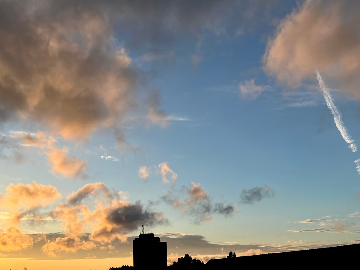 15) Was kann – will – man – ich tun? (Gastbeitrag&nbsp;Hermann)