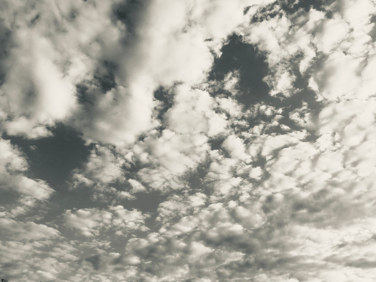 685) Als die Sommer noch schwarz-weiß&nbsp;waren