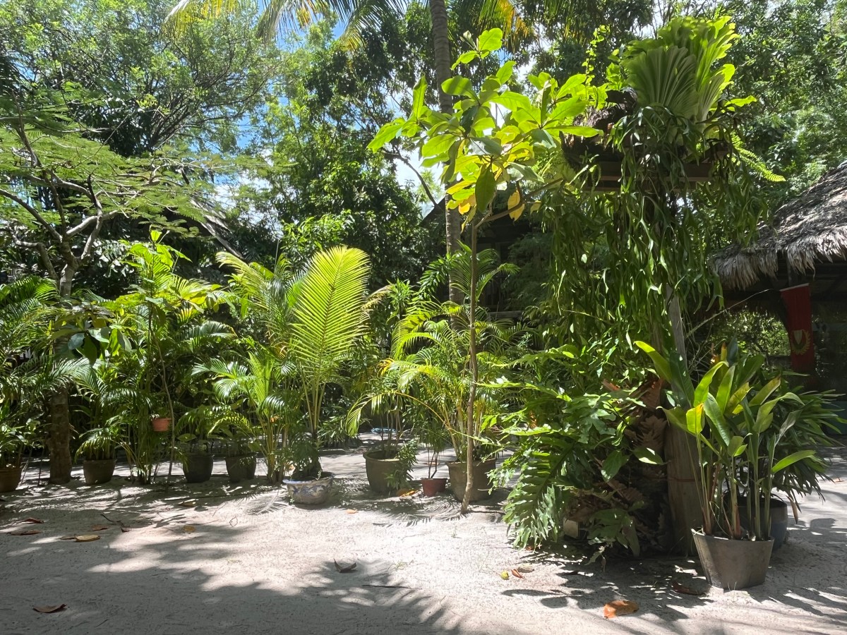 694) Ganz dicht dran an der&nbsp;Traumhütte