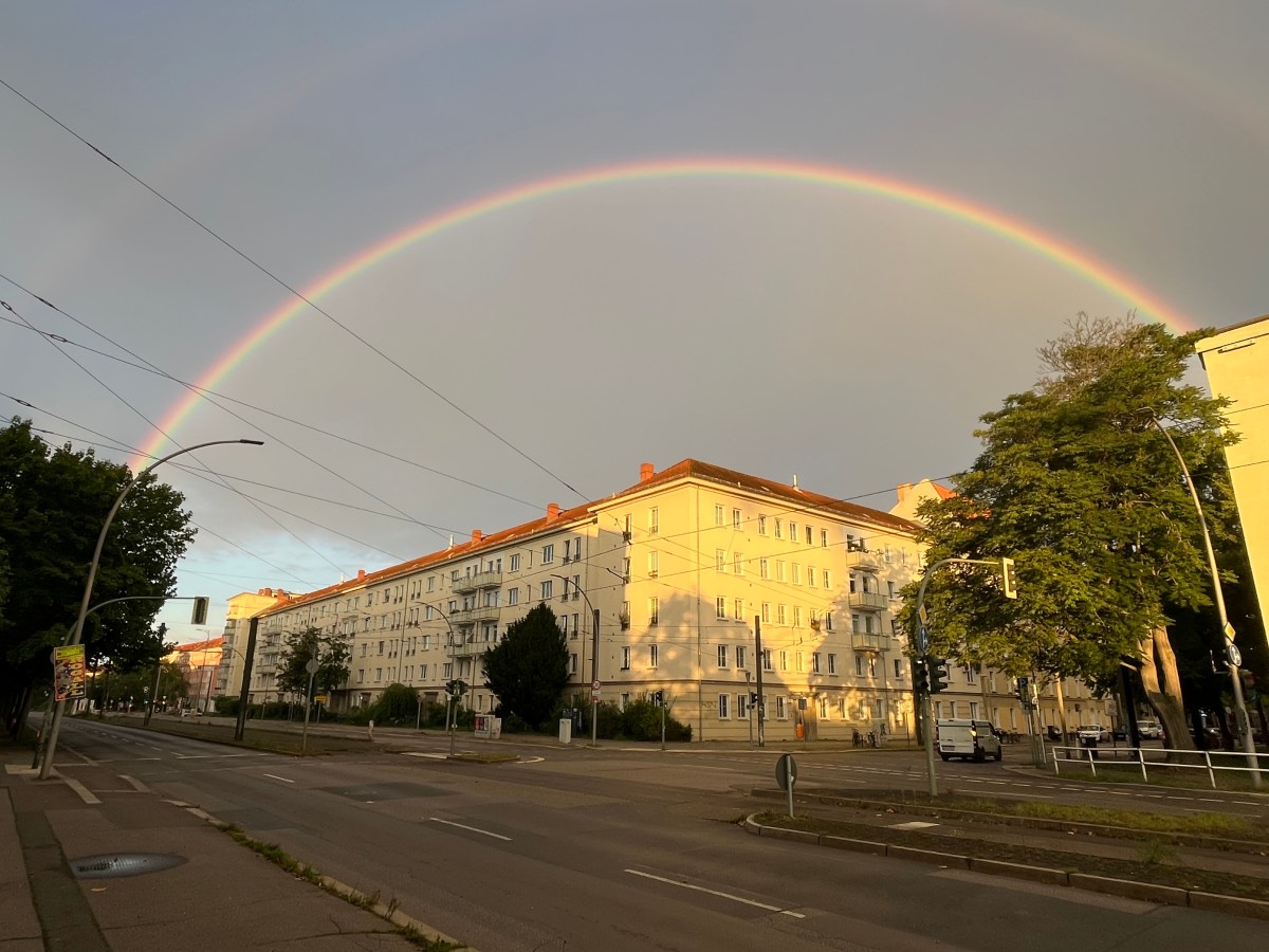 706) Käseglocke. Schneekugel. Sauerstoff.&nbsp;Drohnenwall.