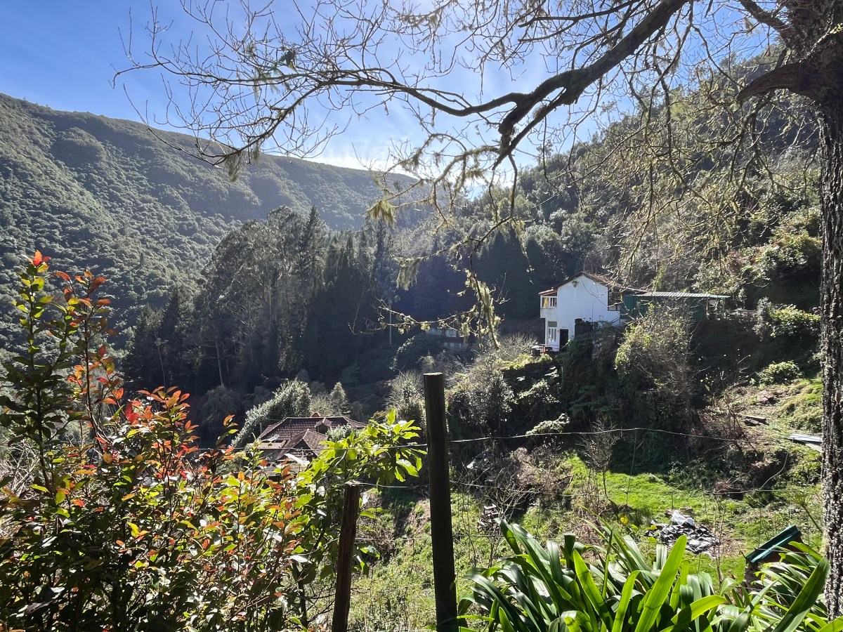 139) Postkarte von Madeira –&nbsp;2