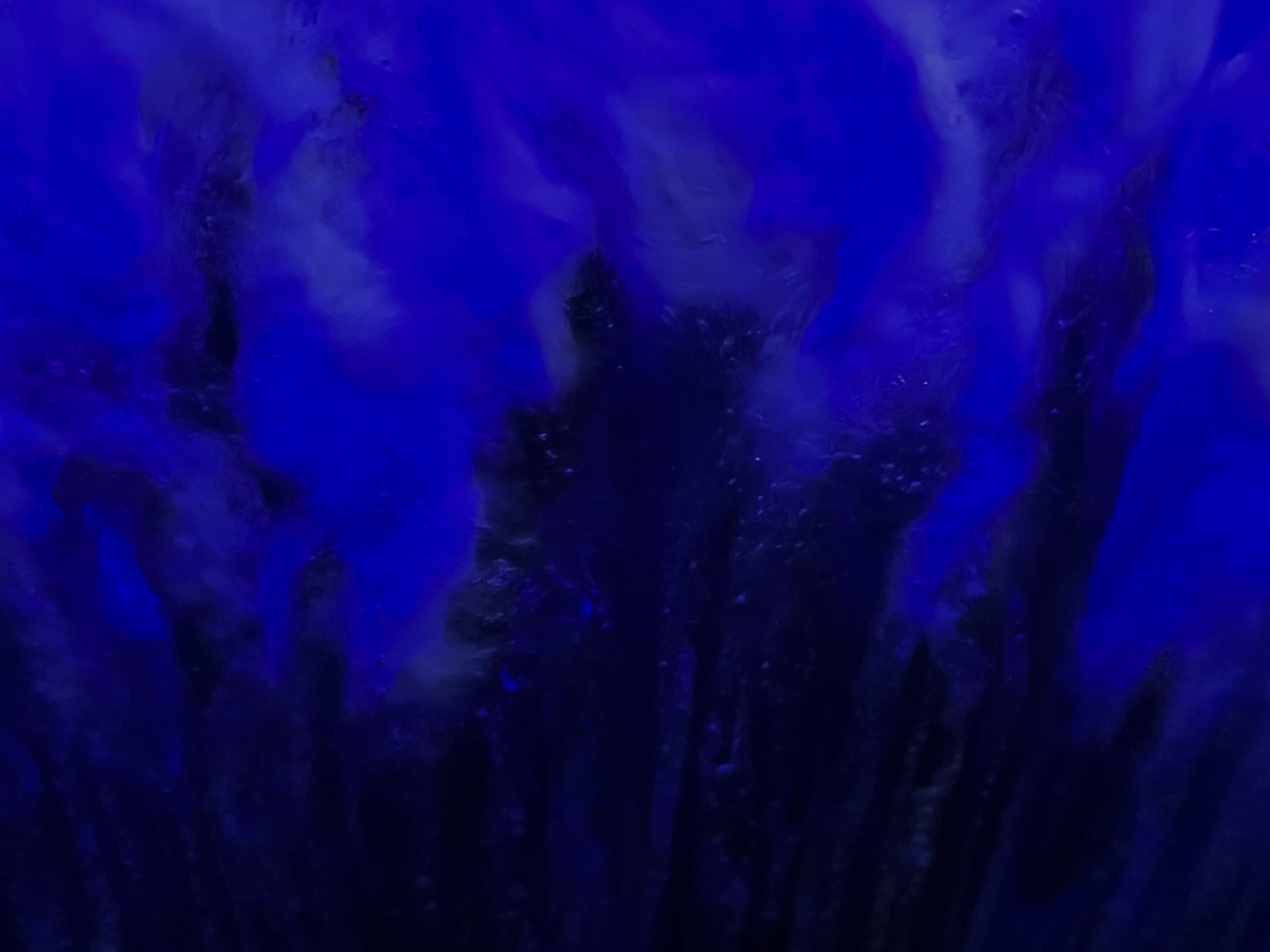 77) Die Stimme –&nbsp;2