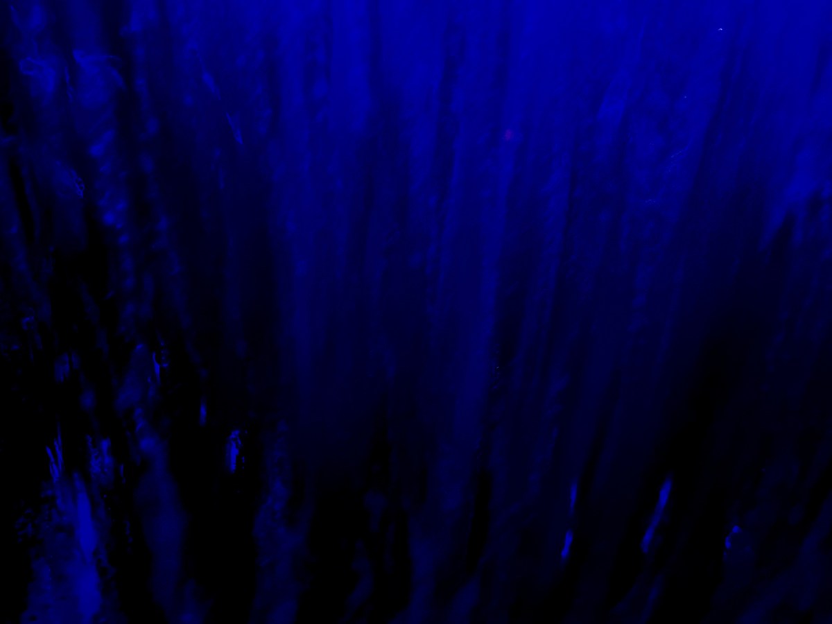 78) Die Stimme –&nbsp;3