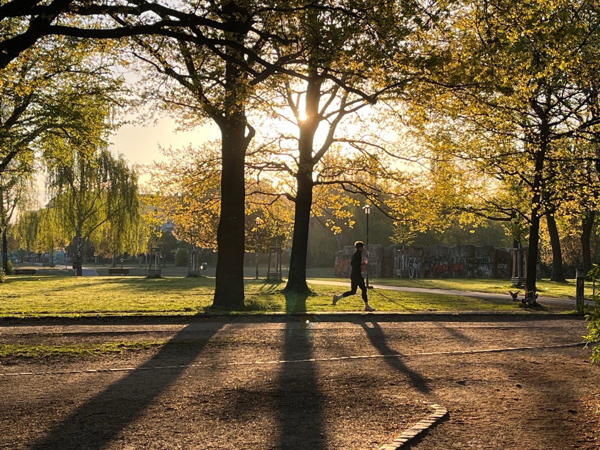 766) FOMO, FOBI, FOGO, FOWT, FOMD,&nbsp;FOFD